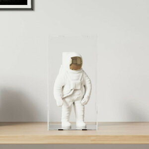 vidaXL fBXvC{bNX  20×20×38cm AN rWlX HƗp e[ fBXvCP[X(s)