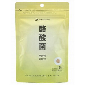 �t�@�C�e��(PHITEN) �T�v�������g�V���[�Y ���_�� GS569000�y���������z