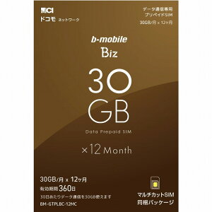 {ʐM b-mobile Biz SIMpbP[W(DC/}`) BM-GTPLBC-12MC(s)yz