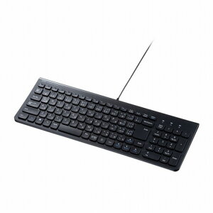 TTvC USB Type-CXL[{[h SKB-SL31CBK(s)yz