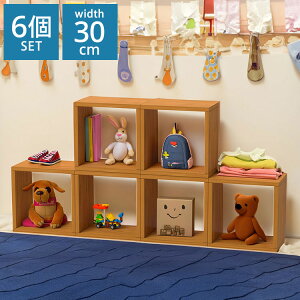 I[vbN X^Cv 6Zbg 30×20×30 20cm ςݏd gݍ킹R [ fBXvC ؖڒ VFt X^bLOVFt I[vVFt I[vbN I I(