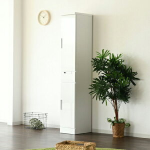 Ԏ[ Ԏ[ 30cm s40cm 180cm yY iz [ Xy[XbN Lb` h[(s)yz