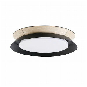 S[LACh TENDER LED Black ceiling lamp FARO INDOOR Cg FA20094(s)yz