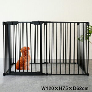 ybgQ[W MTCY 6Zbg mfB ^E^p  P[W  P[W ܂  T[N ybgT[N tFX(s)yz