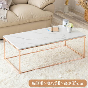 rOe[u ؍ 嗝Ε ω׏d20kg 100cm X`[r S[h  y l炵 ݑ[N fXN  q rO (s)yz