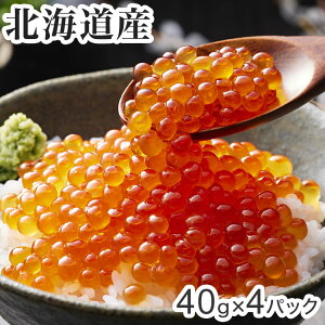 kCY ݖЂ 40g×4 Hi Mtg v[g  l ̂ 蕨 LO j  j j n oYj j 䌩 Cj 䕧O u  Ε 䒆(s