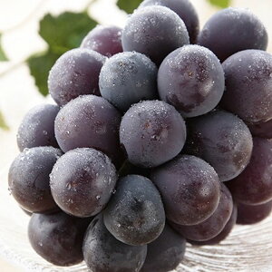 R sI[l 햳  Ε ~Mtg N Nn NNn 񂹃O v[g l ̂ 蕨 j  䌩 Hi(s)yz