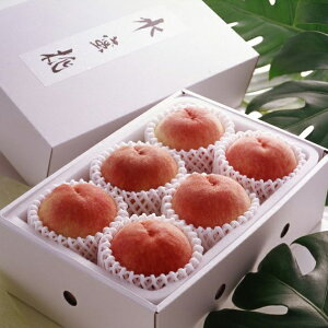 RY  6 v1.5kg Hi   Mtg 蕨  Hו l ̂ p v[g  20233140420(s)yz