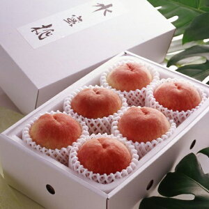 RY  6~8 v1.8kg Hi   Mtg 蕨  Hו l ̂ p v[g  20233140421(s)yz