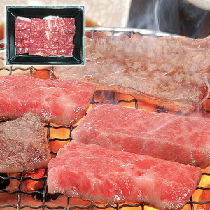  ˋē 250g  Ε Mtg 蕨 v[g j LO  Hו  l(s)yz