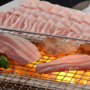 R`HДF R` ēp Ε ~Mtg N Nn NNn 񂹃O v[g l ̂ 蕨 j  䌩 Hi(s)yz