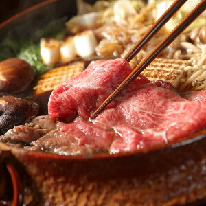 栃木県産 とちぎ和牛 すき焼き用500g お歳暮 冬ギフト 年末 年始 年末年始 お取り寄せグルメ プレゼント 熨斗 のし 贈り物 お祝い 冠婚葬祭 御見舞 食品(代引不可)【送料無料】