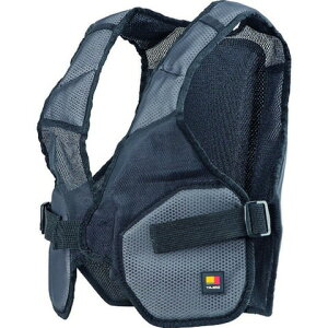 ^W} SуCi[pbgCKRt[TCY CKRIPF(s)yz