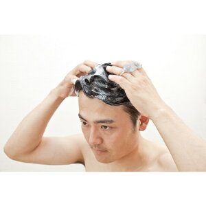 GREENBELL Vv[uV(ubN) GREENBELL SE026 | qpi Jqpi wXPApi(s)