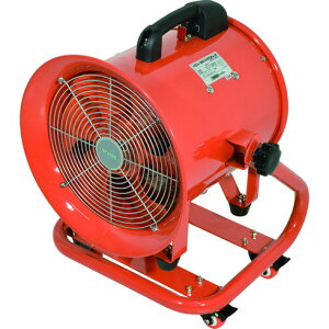 日動 ダイナミックファン300 日動 DF300CA 環境改善用品 冷暖房 空調機器 工場扇(代引不可)【送料無料】