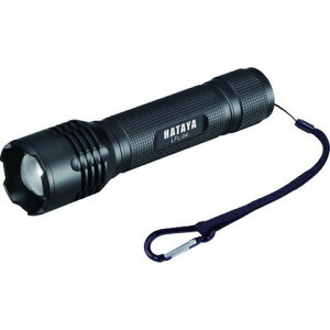 n^ LEDtbVCg LFL04(s)