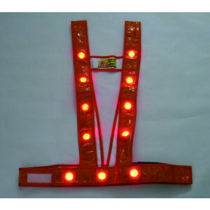 ~YPC LED^XL^SxXgufXv(IW/LED) ~YPC ی ƕ SxXg(s)yz