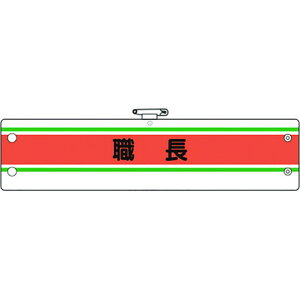 jbg ƊǗ֌Wr E jbg ی ƕ r (s)