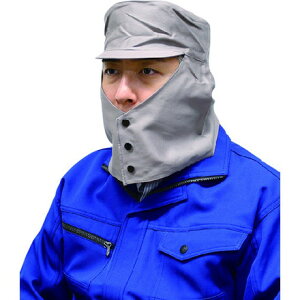 NIKKO nړГVۃO[1 {퐻쏊 ی ی상Kl hЖ nڗpی상Kl(s)