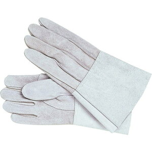 I^tN 460 HK-5w  nڗp ӂ ی Ǝ v(s)