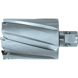 ���� �W�F�b�g�u���[�` �����^�b�`�^�C�v 55X75L 19670 NO.19670 �؍�H�� �������H�� ���C�{�[���ՃJ�b�^�[(����s��)�y���������z