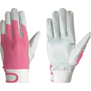 V ؊vbbV}WbNt 129ؔ S PL129S ی Ǝ v(s)