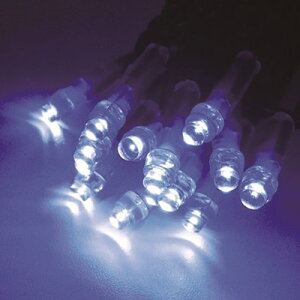 gCg LEDC~l[V }u[(gU^) CSBMB1100100P2 HEƖpi ƓEƖpi e[vCgEC~l[V(s)yz