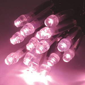 gCg LEDC~l[V TNsN(gU^) CSBSP1100100P2 HEƖpi ƓEƖpi e[vCgEC~l[V(s)yz