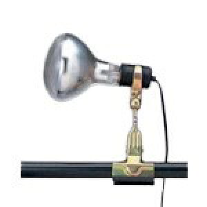 g[ NbvCg CH1Z HEƖpi ƓEƖpi d(s)