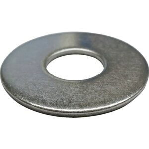 ダイドーハント HP ステンレス ワッシャー 10×22 10枚入 10184772 金物・建築資材 ねじ・ボルト・ナット ワッシャー(代引不可)