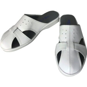 ~cE} GN[LLTCY P02NWLL ی SC ƌC ÓdƌC(s)yz