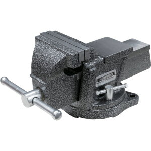 AXgv_Nc AP x`oCX 100mm BV791 2003000007916 ƍH Nv oCX oCX(s)yz