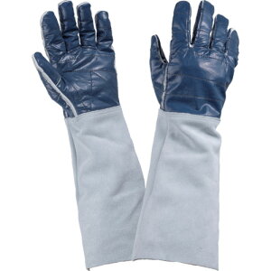 xmO[u Ƃnh u[ LTCY 2437 ی Ǝ v(s)