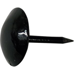 DAIDOHANT HP ֎qe  20{ _Ch[ng  z ˂ {g ibg B 10183189(s)