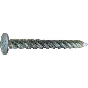 DAIDOHANT HP TJB 5×50 10{ _Ch[ng  z ˂ {g ibg B 10183168(s)