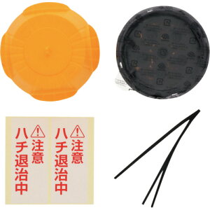 A[X A[XK[f XYo`̑ 쏜GT^Cv 1 A[X Ppi Q Qb쏜pi h Epi 035516(s)