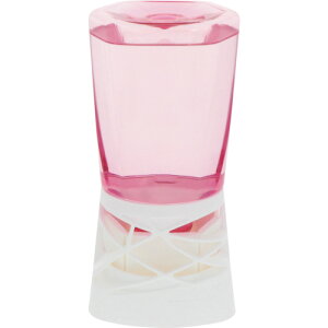 A[X XbL[!gCp؂₩ȃsNu[P A[X | qpi Jqpi gCpi 587510(s)