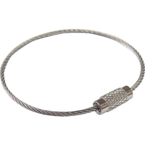 ニッサチェイン ステンレスキーワイヤー#101(1個入) ニッサチェイン オフィス 住設用品 オフィス家具 キーボックス P-701(代引不可)