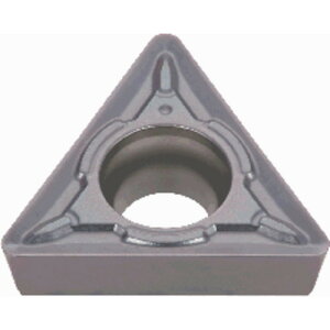 ^KC HpCT[g CVDR[eBO T6215 ^KC ؍H  tCXHH nH TPMT110304-PM(s)