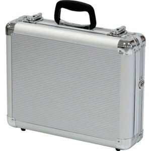 ASTAGE ACCS RpNgA~P[X T3AA-C T3AAC(s)yz