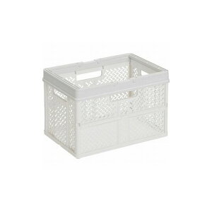 TENMA ܃^^~oXPbg nhtLM 811000813 Vn() [pi J[{bNX(s)