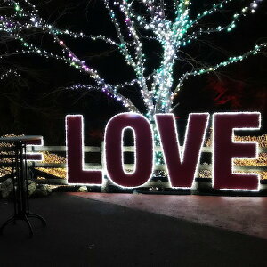 gCg LED`[uXgO zCg L1000 gCg NTCW13330P2 H Ɩpi Ɠ Ɩpi Ɩ(s)yz