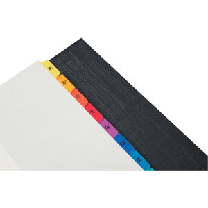 マルマン A4 ラミタブ見出シ10山 マルマン LT4010 オフィス 住設用品 文房具 ファイル(代引不可)