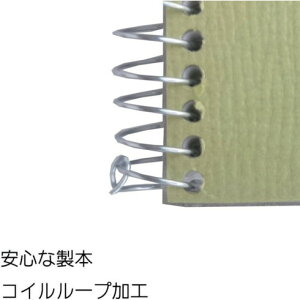 �}���}�� F6 �X�P�b�`�u�b�N �I���[�u�V���[�Y �}���}�� S86 �I�t�B�X �Z�ݗp�i ���[�� �m�[�g(����s��)