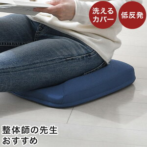 pNbV Y 36×40cm ̎t߂ ᔽE^tH[ T|[g Ո OX` 􂦂Jo[   zc(s)yz