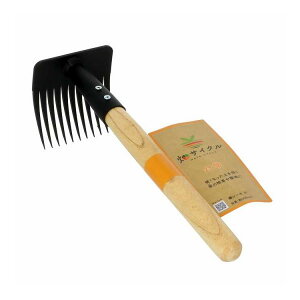 ���T�C�N�� �L���[�L ��(����s��)