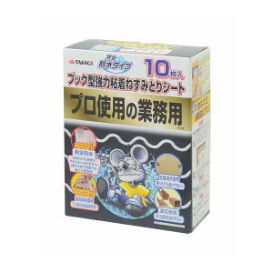 S˂݂ƂV[ghubN^10(s)