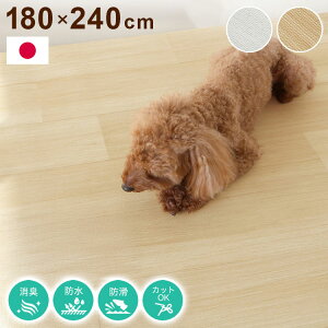 { ybg}bg ybgO Sh 180×240cm O J[ybg Yh~V[gt h~ ؖڒ Ȃ L 􂦂 O}bg(s)yz