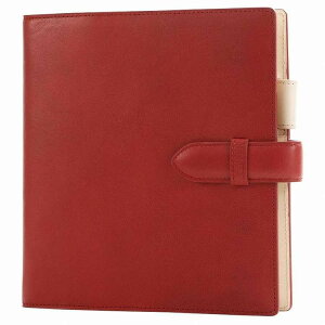 ASHFORD AVtH[h VXe蒠 LI HB×WA5 15mm belt bh 6128-044(s)yz