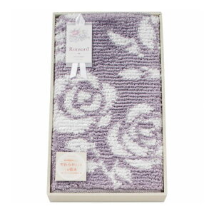  oX}bg O[ T[ Mtg 蕨 iyz